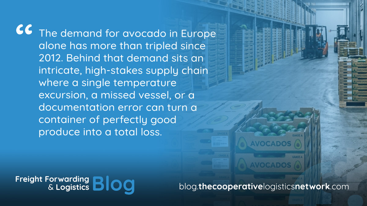 Avocado Export Logistics
