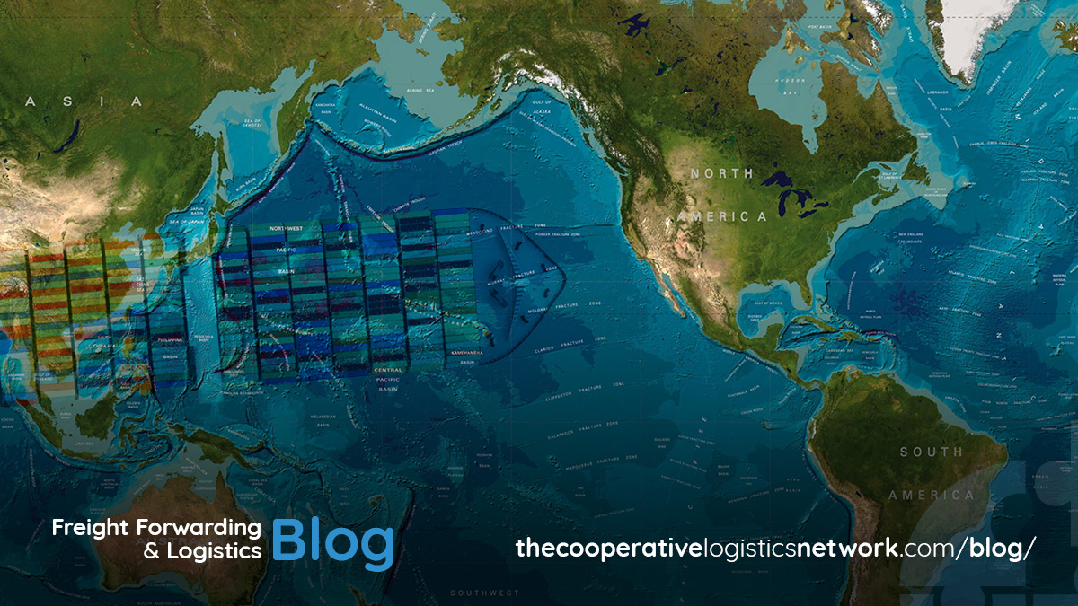 Ocean Freight Forwarding Professionals