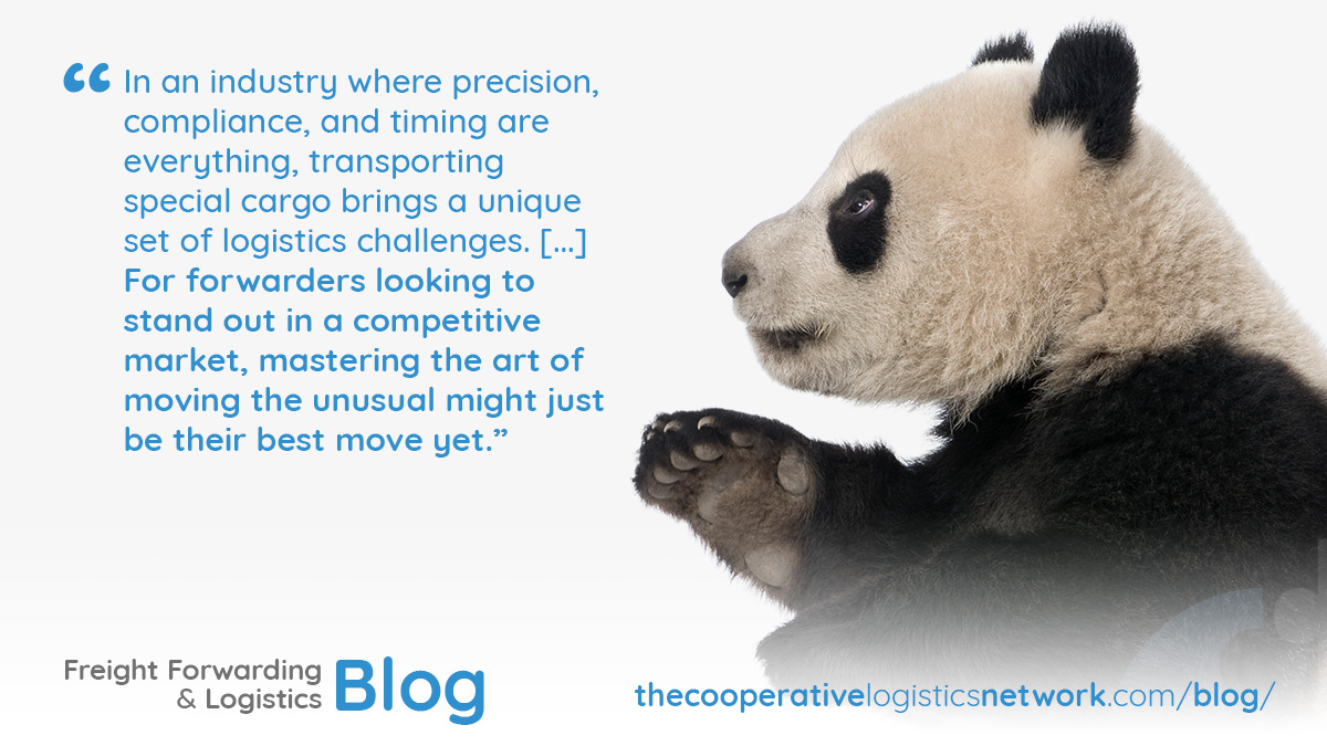 from pandas to picassos...the weirdest job in freight forwarding