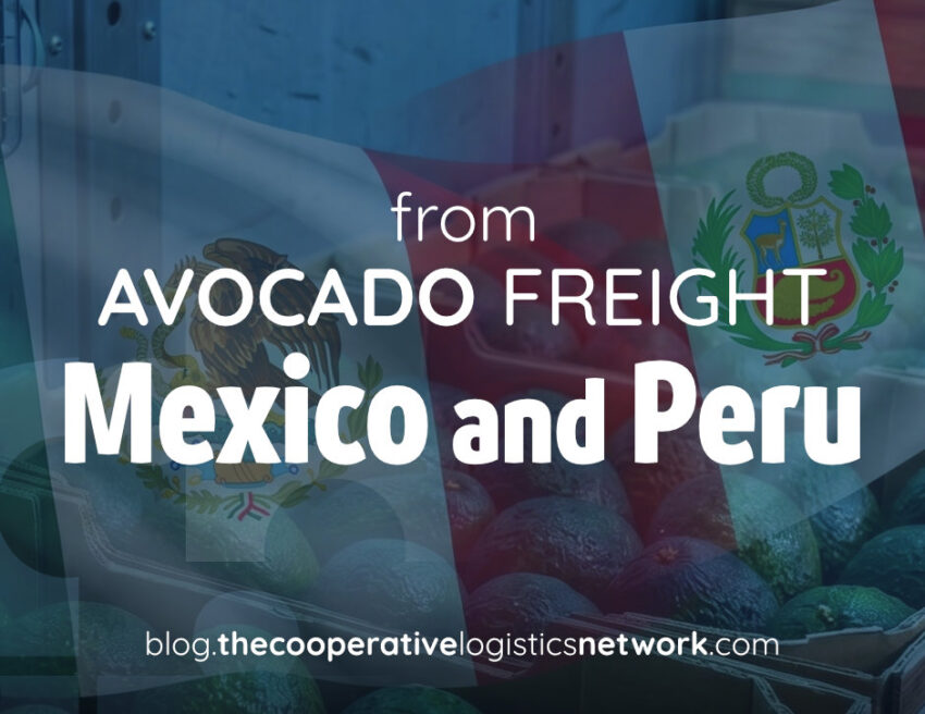 Avocado Export Logistics